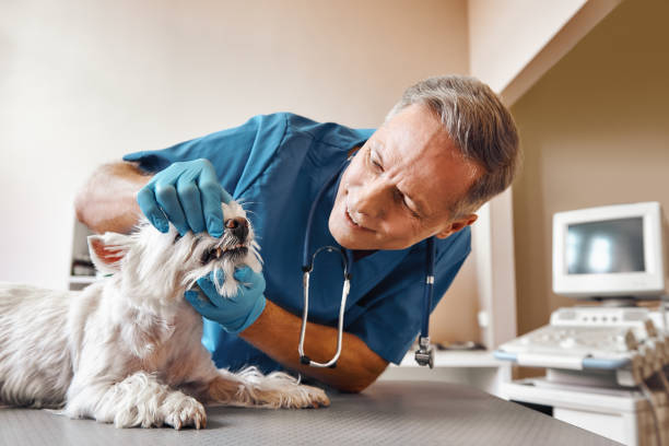 Best Emergency Wisdom Teeth Removal in Buckley, WA